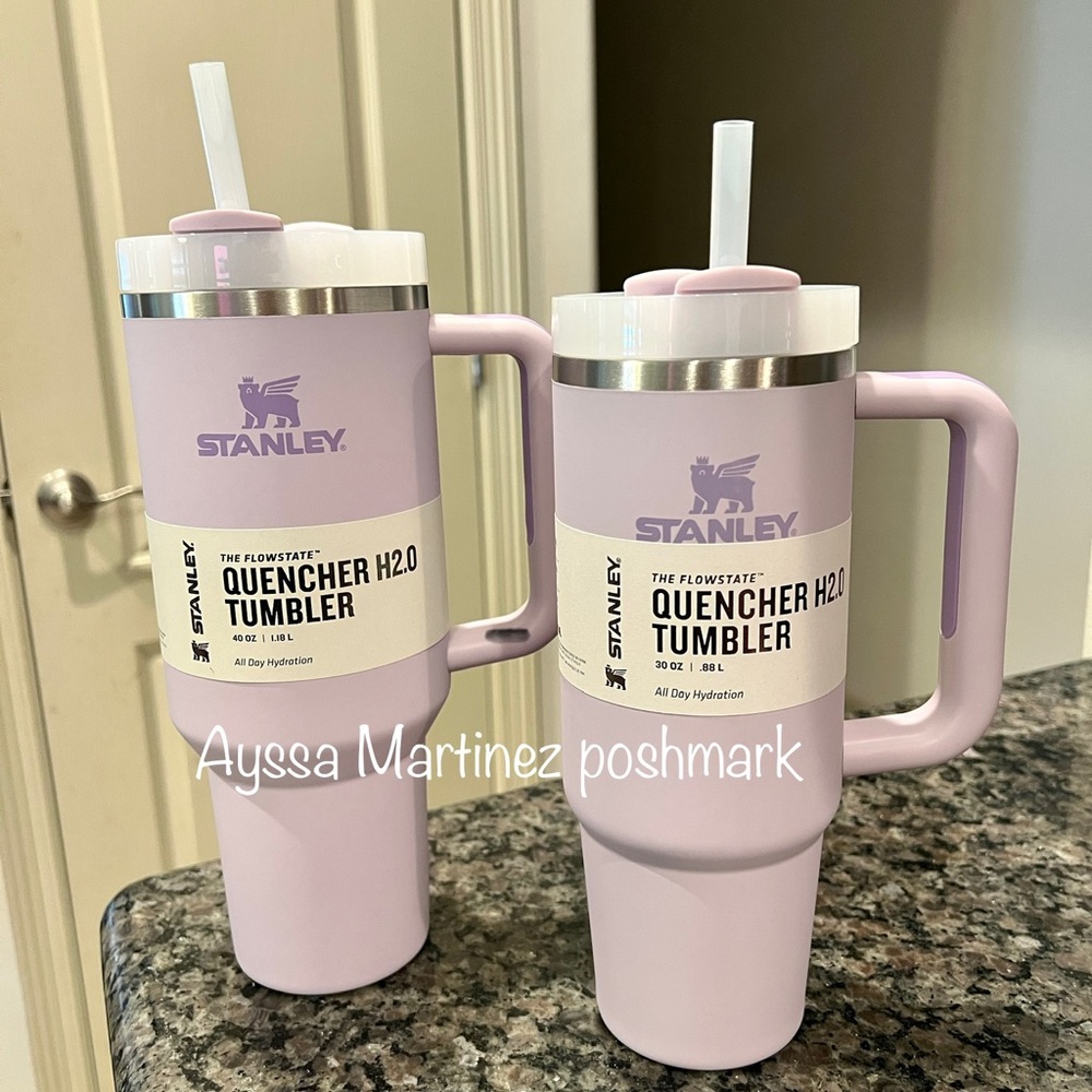 BNWT 40 oz H2.0 FlowState Stanley in Orchid - Picture 1 of 6